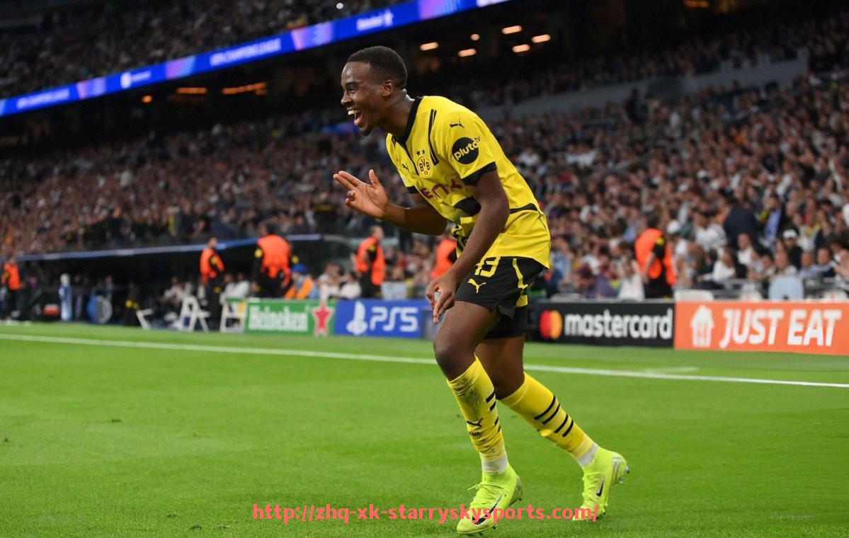 星空体育-2025年法甲赛季期望与各队目标预测