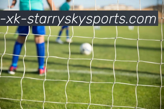 星空体育服务体系