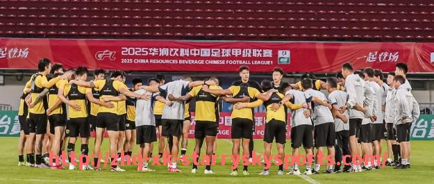 星空体育-法甲俱乐部综合竞争力对比：财政、阵容与青训系统全方面解读